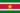 Bus schedules of Suriname