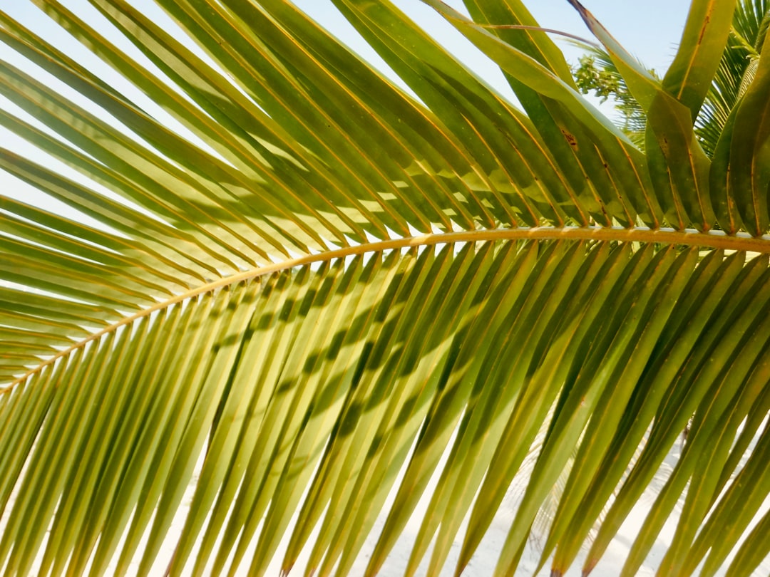 belize