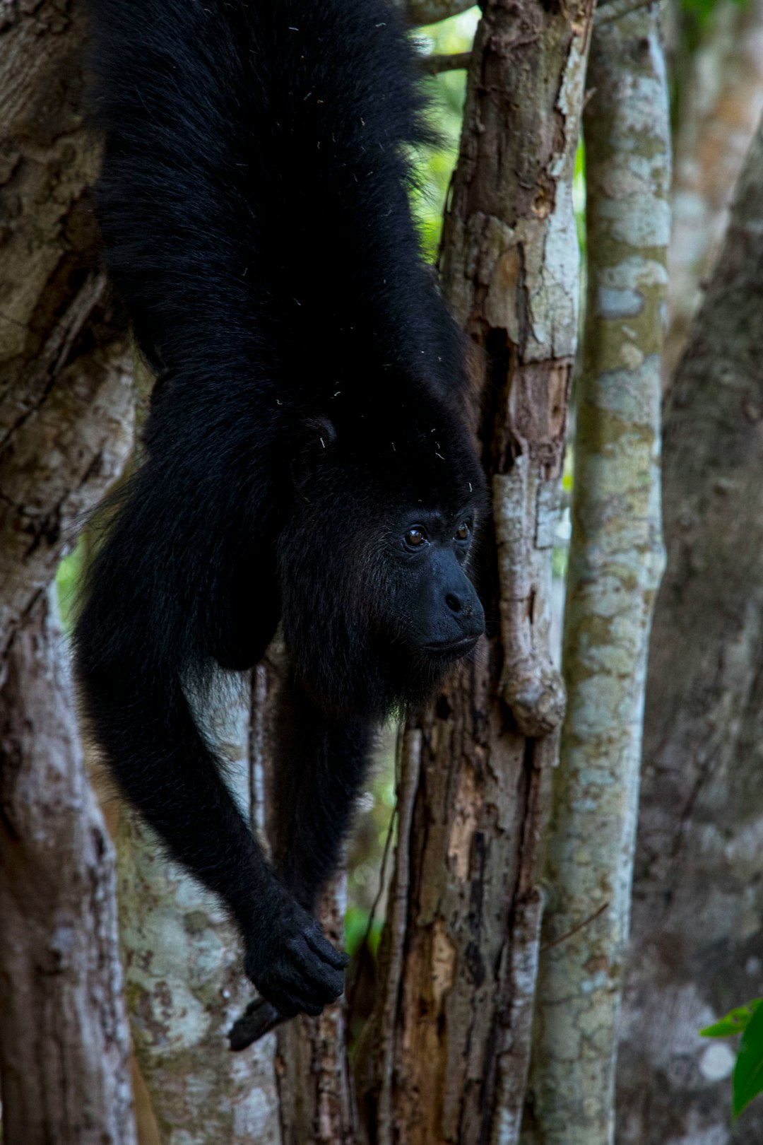 belize
