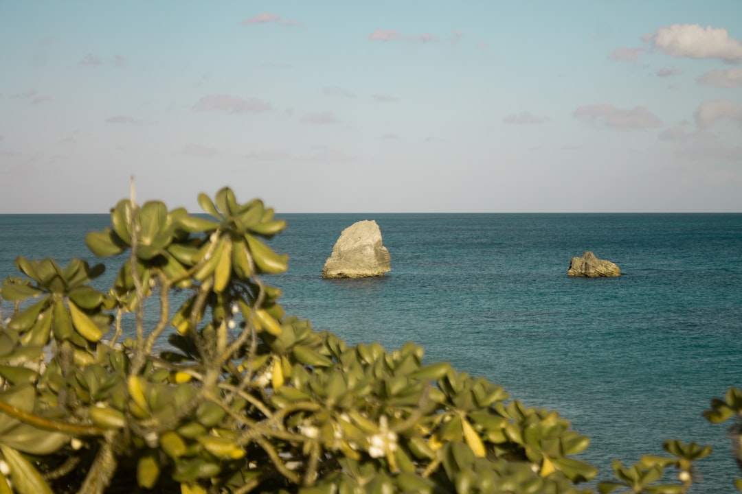 bermuda