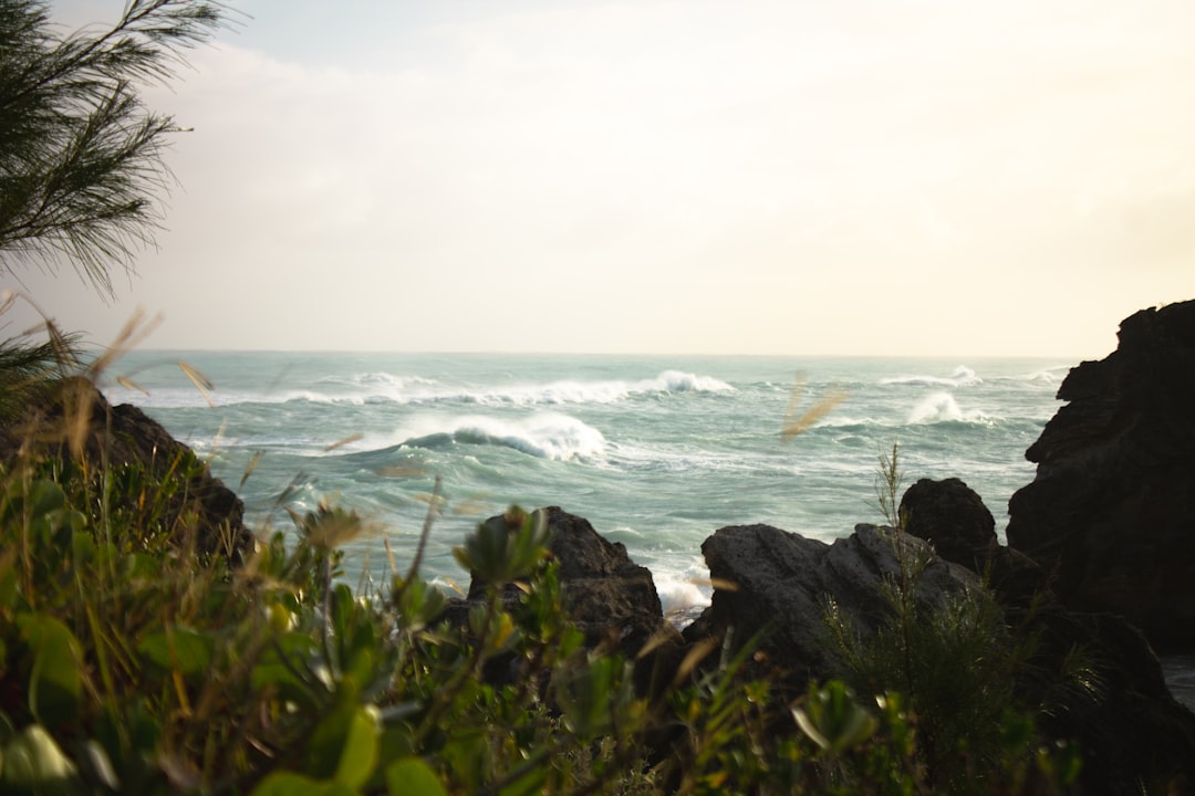 bermuda