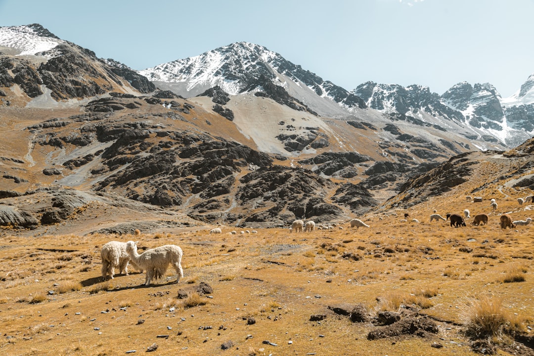 bolivia