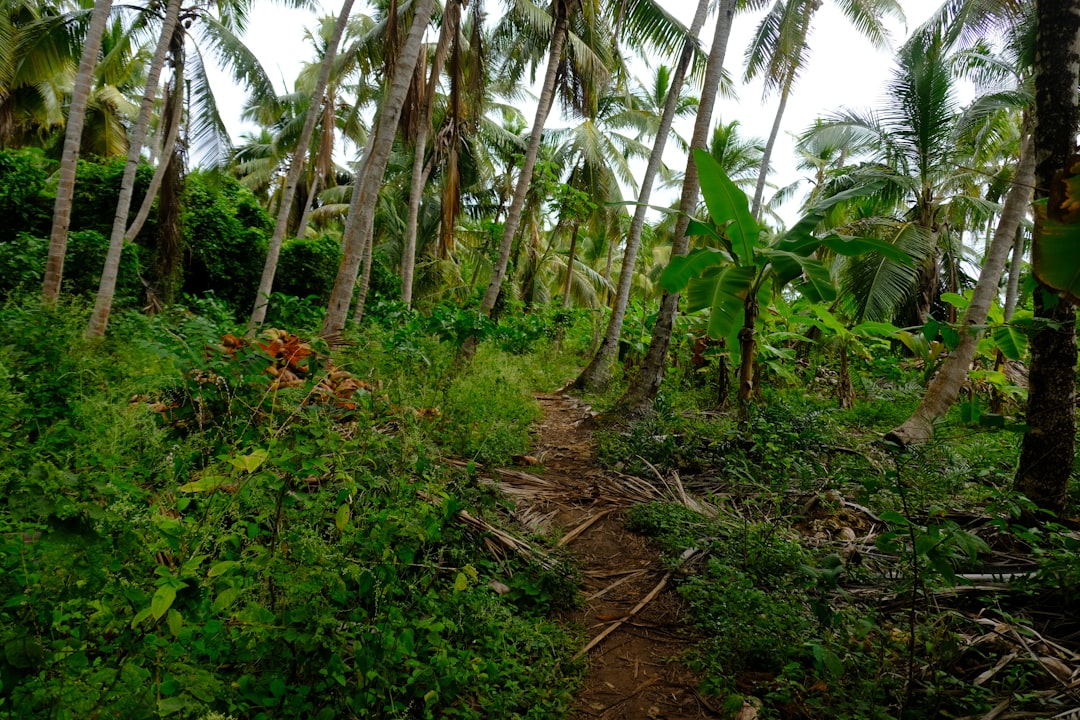 dominican_republic